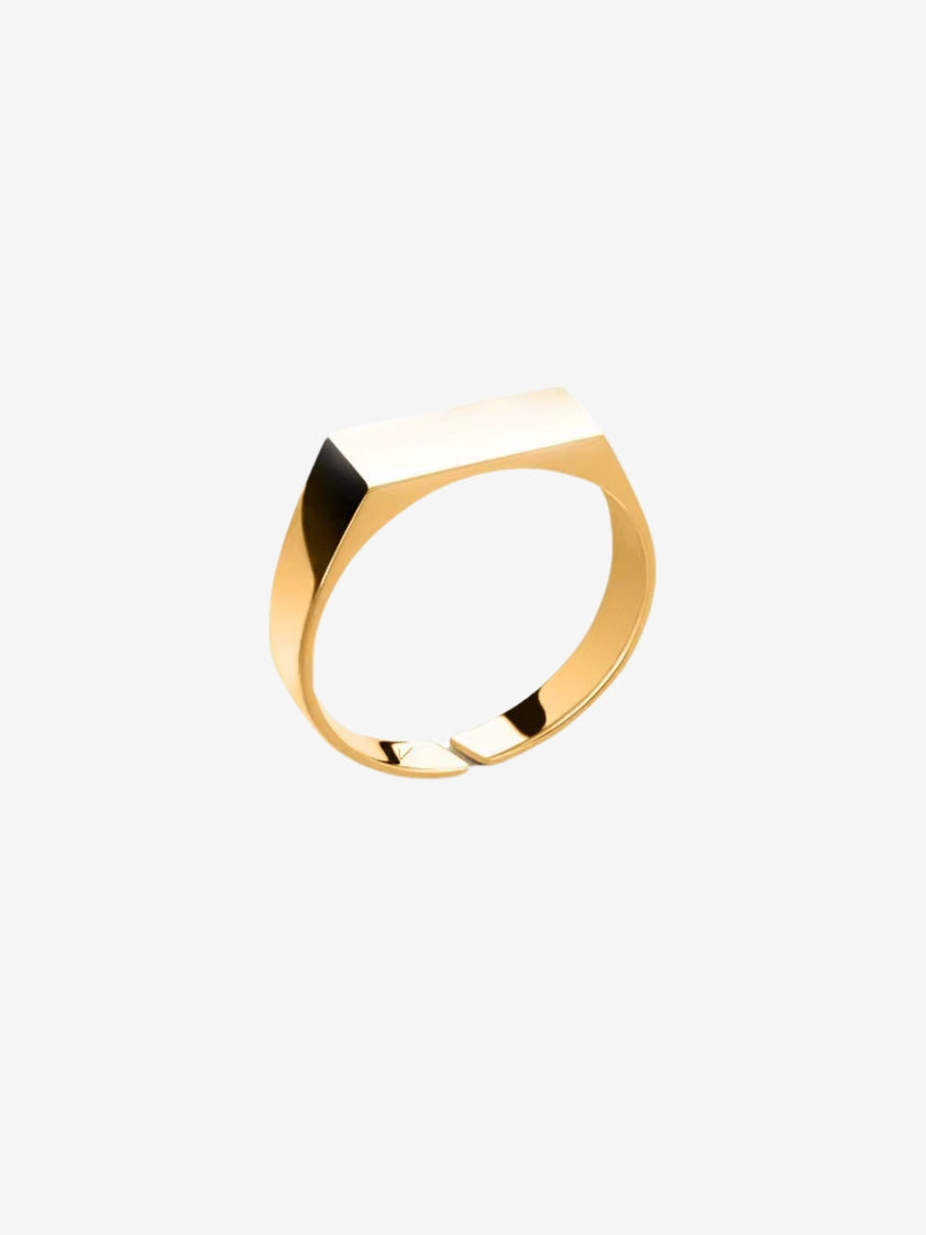 Minimalist gold stainless steel ring with polished finish, waterproof and unisex design